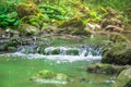 Small mountain waterfall on the rocks covered with moss deep in the forest Royalty Free Stock Photo