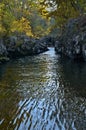 Small mountain woodsy river 1