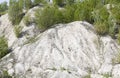 Small mountains covered with green young trees