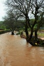 Small mud stream Royalty Free Stock Photo