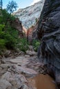 Small muddy creek flowing through the canyon along the Observation Point trail in Zion National Park Utah