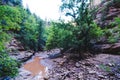 Small muddy creek flowing through the canyon along the Observation Point trail in Zion National Park Utah