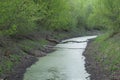 Small muddy forest river. A shallow pond with green water