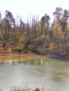 A small muddy stream enters a river.