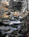 Small muddy stream,Milner conservation area