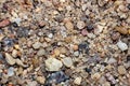 Small multi colored pebbles from the beach Royalty Free Stock Photo