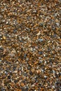 Small multicolored rock on the beach Royalty Free Stock Photo