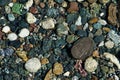 Small multicolored stones on the bank of a mountain stream with crystal clear glacial water. Top view. Royalty Free Stock Photo