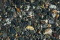 Small multicolored stones on the bank of a mountain stream with crystal clear glacial water. Top view. Royalty Free Stock Photo