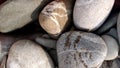 Texture of small sea pebbles multicolored for background and Wallpaper