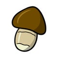 A small mushroom with a brown hat, a boletus, vector cartoon