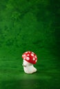 Small mushroom