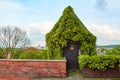 A small mystical door in the ivy-covered fence to the old Zamek Krolewski na Wawelu castle in the center of Krakow