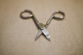 Small nail scissors care hygiene cosmetic bag metal necessary things