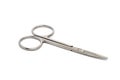 Small nail scissors isolated on a white background Royalty Free Stock Photo