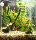 Small nano cube aquarium Royalty Free Stock Photo