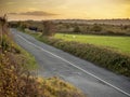 Small narrow asphalt country road by a green field at sunset. Rural passage with magnificent nature scenery. Transportation