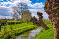 Small narrow stream between green grass, leaning pollarded willow Royalty Free Stock Photo