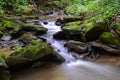 Small Native Trout Stream. Royalty Free Stock Photo