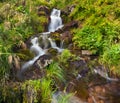 Small natural spring waterfall Royalty Free Stock Photo