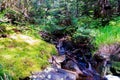 Small natural waterfalls | Green healthy nature