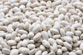 Small Navy, haricot, white pea, white kidney or Cannellini Purgatorio beans Royalty Free Stock Photo