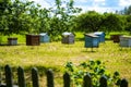 Small neat wooden bee houses at apiary