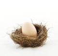 Small nest with big egg Royalty Free Stock Photo
