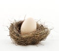 Small nest with big egg Royalty Free Stock Photo