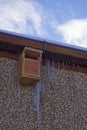 A small Nesting Box for Robins or wrens with long icicles around it from a slowly leaking gutter.