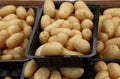 Small new potato in plastic display boxes close up Royalty Free Stock Photo