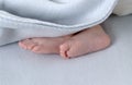 Small, newborn baby feet close up under a blanket Royalty Free Stock Photo