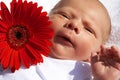 Small newborn baby with a flower