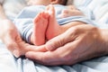 Small newborn baby legs in the hands of parents Royalty Free Stock Photo