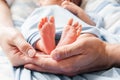 Small newborn baby legs in the hands of parents Royalty Free Stock Photo