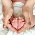 Mothering. Small newborn baby legs in mothers lovely hand with soft focus. Family love