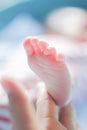 Small newborn foot and adult hand Royalty Free Stock Photo