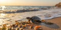 a small newly born turtle crawls towards the sea