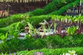 Small Northern Thai Houses Model in Garden, Natural Rural House Concept