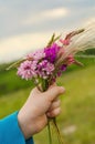 Small nosegay of wild flowers in a hand