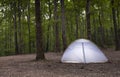 Tent in a darkening forest Royalty Free Stock Photo