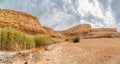 Small oasis and landscape panorama of Negev desert, Israel Royalty Free Stock Photo