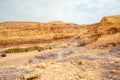 Small oasis and landscape panorama of Negev desert, Israel Royalty Free Stock Photo