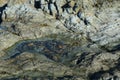 Small ocean rock pool by the seaside Royalty Free Stock Photo