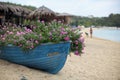 Small Old blue boat full of flowers on the beach Royalty Free Stock Photo