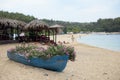 Small Old blue boat full of flowers on the beach Royalty Free Stock Photo