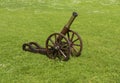 Small old cannon on the lawn overgrown with daisies (BÃÂ©llis per Royalty Free Stock Photo