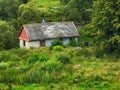 A small, old farmhouse among the trees Royalty Free Stock Photo