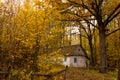 A small old rural house in the thickets of an autumn forest. Mighty oaks and a small house.
