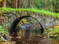 Small old stone bridge in a forest Royalty Free Stock Photo